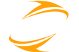 Zybernet INC